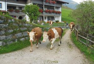 Haus Eicher – Ferienwohnung Sonntagshorn