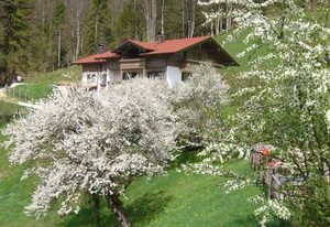 Haus Eicher – Ferienwohnung Sonntagshorn