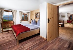 Hasenlehen – Bergsteiger Kammer, 1-2 Personen, Dusche/WC, Balkon mit Bergblick, W-LAN, ohne Frühstück