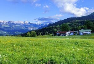 Pension Loiplstüberl – Ferienwohnung Nr. 15 für 1-2 Pers., ca. 33 m², 1 SZ, Wohnraum mit Kochnische, T