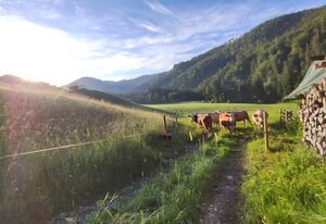 Eckarthof – Ferienwohnung "Blick Sonntagshorn"