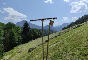 Eckarthof – Ferienwohnung "Blick Sonntagshorn"