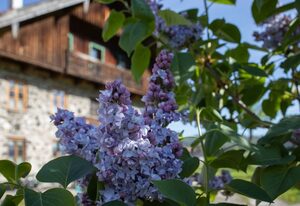 Ferienwohnung Nagerlhof – Ferienwohnung Untersberg 84 qm im OG ,2 Schlafzimmer, Wohnküche, Balkon
