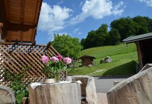 Ferienwohnungen Oberthannlehen – Ferienwohnung Nr. 2 für 2-3 Pers., ca. 60 m², 1 SZ, 1 Ki-SZ, Wohnküche