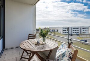 Stranddistel 4 Fernblick
