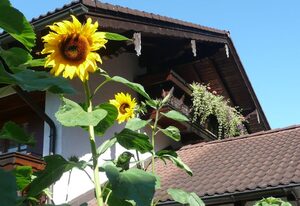 Ferienwohnung Gouiaa – Ferienwohnung für 2 - 5 Personen, ca.85 m², Wohnschlafraum, 2 Schlafzimmer, Kochnische, 2 Badezimmer, 2 Balkone Terrasse