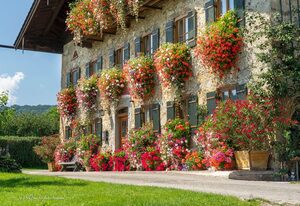 Bachtelhuber-Hof – Ferienwohnung 60QM für 4 Pers., 2 Schlafzimmer, 1 Wohnküche, Balkon, Dusche/WC