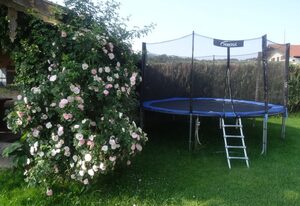 Bachtelhuber-Hof – Ferienwohnung 60QM für 4 Pers., 2 Schlafzimmer, 1 Wohnküche, Balkon, Dusche/WC