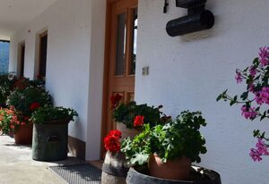 Ferienwohnung Schneiderhof