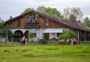 Ferienwohnung mit großem Panoramafenster