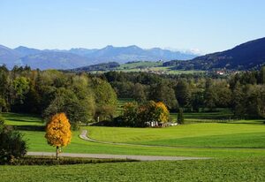 Ferienwohnung mit großem Panoramafenster
