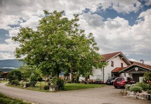 Haus Götz – EG neu eingerichtetes Doppelzimmer