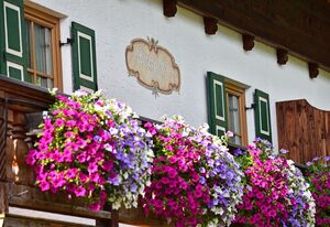 Ferienwohnungen Woferllehen Brandner – Ferienwohnung Wiesenblume, für 2 Personen