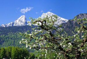 Triembachhof – Doppelzimmer Nr. 3 mit Dusche / WC und Balkon