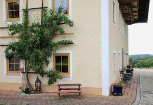 Bettina´s Ferienwohnung – Bettina´s Ferienwohung mit 3 Schlafzimmern