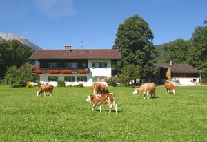 Ferienwohnungen Löslerlehen – Ferienwohnung Grünstein, 28 qm, 1-2 Personen, 1 separates Schlafzimmer, Balkon