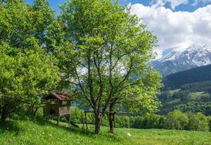 Möslerlehen Ferienwohnung – Ferienwohnung für 1-4 Personen, Dusche/WC, Balkon, TV, W-LAN, Dachgeschoss