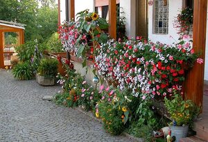 Bio Ferienhof Winkler – Fewo Tittling-Fürsteneck (110qm) für 6 Personen mit großen Balkon