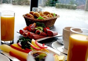 Landhotel Donaublick – EZ Premium