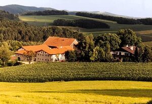 Gidibauer Hof, Naturhotel – Doppelzimmer (Hof)