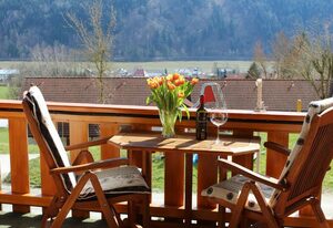 Gemütliche Ferienwohnung mit Blick auf die Donau