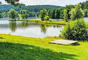 Gemütliche Ferienwohnung mit Blick auf die Donau