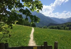 Ferienwohnung Bergblick – Ferienwohnung mit 1 Schlafzimmer
