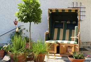 Bed and Breakfast unter den Linden – Oskar Mayer