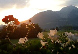 Ferienwohnungen Grünsteineck – Ferienwohnung Untersberg, 2 Personen, 45 qm, Wintergarten mit Bergblick