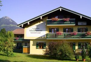 Landhaus Waldhauser – Ferienwohnung Nr. 15, 1-2 Personen, 33 qm, Wohn-/Schlafraum, Balkon
