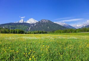 Ferienwohnung Triembachhof – Ferienwohnung 2 für 2 bis 4 Personen, 75 qm,  2 Schlafzimmer, Balkon