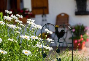 Haus der Berge Ferienwohnung – Ferienwohnung Schmuckenstein, 1-2 Personen, 52 qm, Wintergarten, Balkon, W-LAN