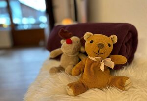 Alpennest Burgberg – Appartement/Fewo, Dusche und Bad, WC, 1 Schlafraum