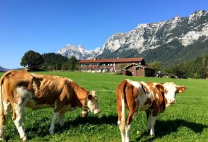 Vorderponholz Ferienwohnungen – Appartement Bergsteigerstubn, 1-2 Personen, 29 qm, Balkon,W-LAN,Wohnschlafzimmer