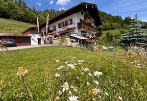 Haus Heinzen – Doppelzimmer Nr. 2 - Grünstein