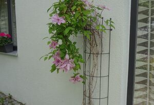 Ferienwohnung Eisele – Ferienwohnung mit Terrasse, 58qm
