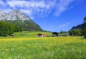 Scheffaulehen Ferienwohnungen – Ferienwohnung Nr. 1, 1-2 Personen, 38 qm, Dusche/WC, Balkon, TV, 1 Schlafzimmer