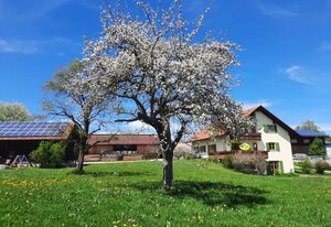 Bauer Haug – Allgäuer Landidylle genießen