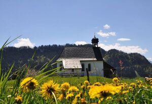 Landhaus Brigitte – Ferienwohnung Grünten