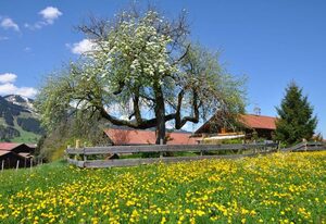 Landhaus Brigitte – Ferienwohnung Grünten