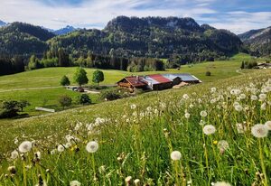 Naturgut Allgäu – Ferienwohnung Nebelhorn