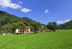 Gästehaus Anfanglehen – Ferienwohnung Schapbach, 1-4 Personen, 55 qm, Balkon, separates Schlafzimmer, Obergeschoss