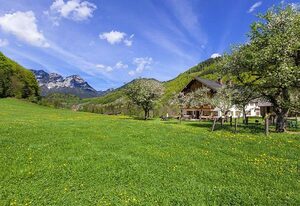 Gästehaus Anfanglehen – Ferienwohnung Schapbach, 1-4 Personen, 55 qm, Balkon, separates Schlafzimmer, Obergeschoss