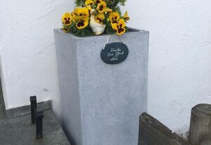 Ferienwohnung Eulennest – Eulennest im Bergidyll