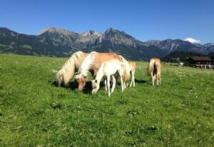 Landhaus Barbara – Ferienwohnung 3 - 2 Schlafzimmer mit Balkon