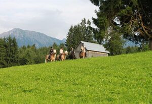 Landhaus Barbara – Ferienwohnung 3 - 2 Schlafzimmer mit Balkon