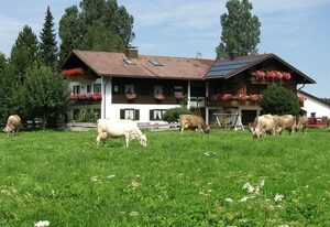 Auenhof – Hörnerblick