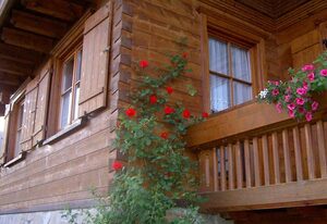 Haus Jenn – Ferienwohnung 2