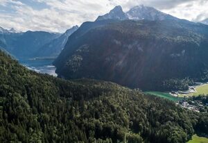 Jennerblick