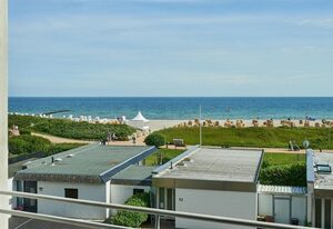 Stranddistel 7 Ostseezauber